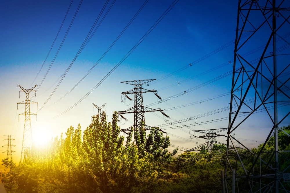 Energy and Energy Efficiency